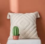 Coussin berbère à franges et motifs beige. Cactus dans son pot au premier plan.