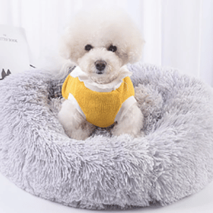 Joli coussin gris apaisant pour chien où est installé un petit caniche blanc avec une tenue jaune.