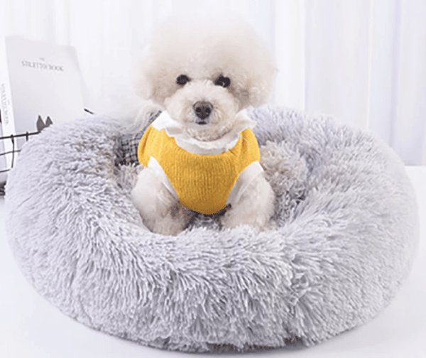 Joli coussin gris apaisant pour chien où est installé un petit caniche blanc avec une tenue jaune.