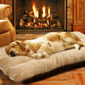 Grand et gros coussin pour chien XXL. Un Labrador est allongé dessus et il dort. Il se trouve devant une cheminée allumée dans un salon cossu et près d'un fauteuil.
