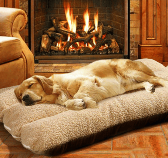 Grand et gros coussin pour chien XXL. Un Labrador est allongé dessus et il dort. Il se trouve devant une cheminée allumée dans un salon cossu et près d'un fauteuil.
