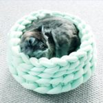 Coussin rond tissé vert clair avec petit chat en boule dedans.
