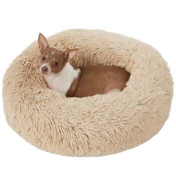Coussin anti stress rond couleur taupe pour petit chien. Il y a un chihuahua dedans.