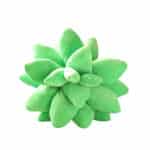 Coussin vert en forme de plante sur fond blanc.